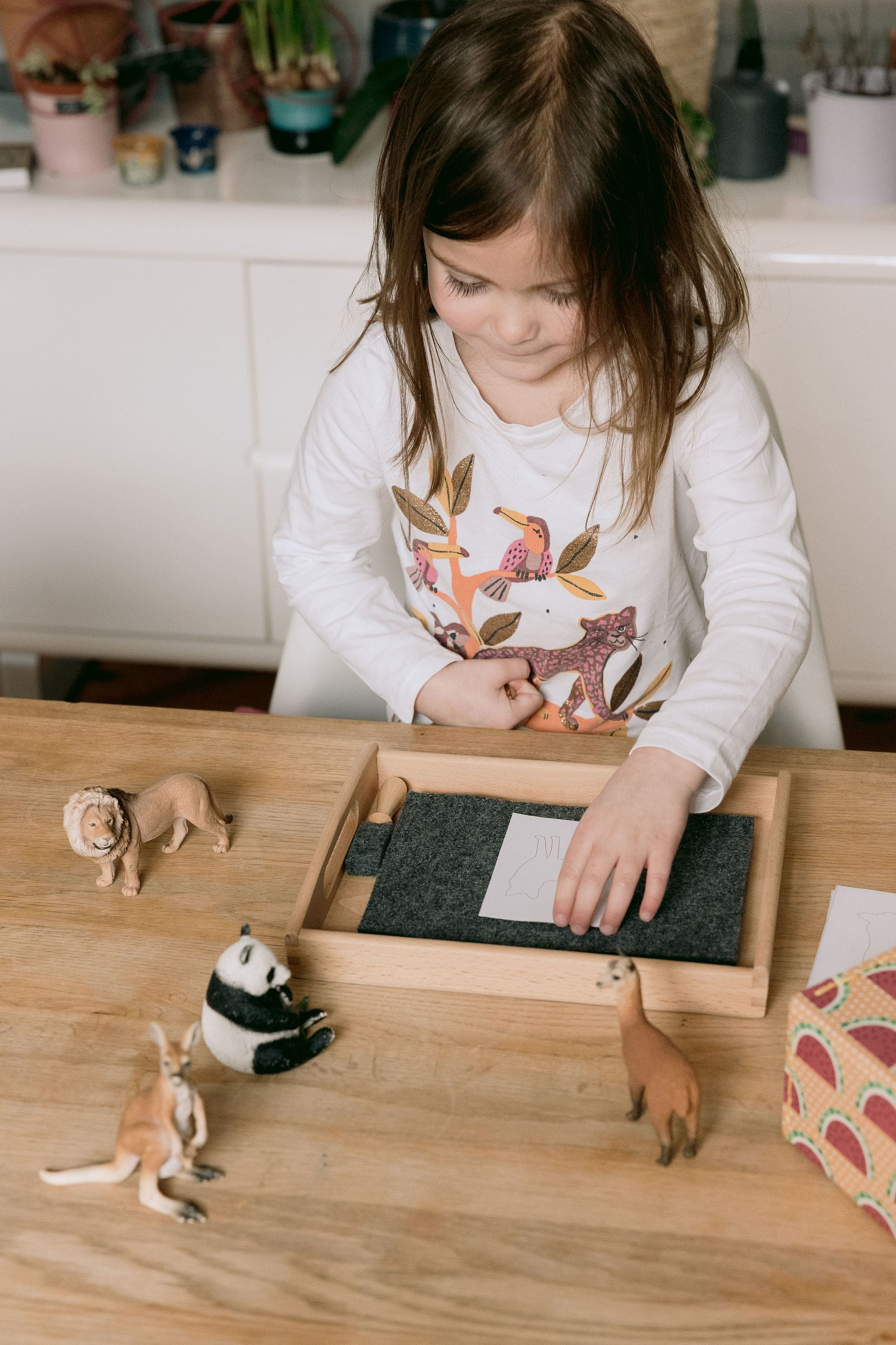 Montessori kit à la maison à imprimer