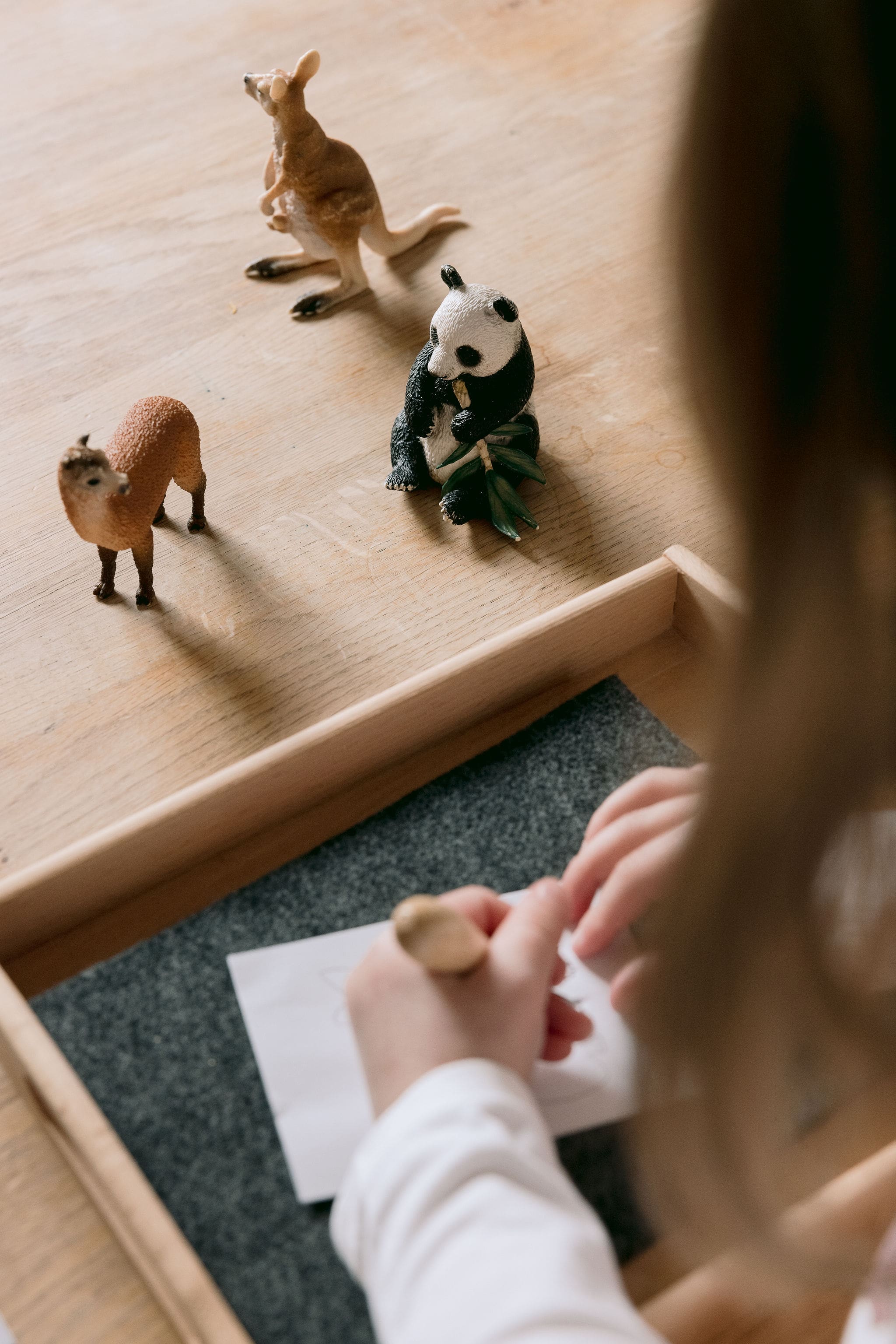 Activités Montessori et les saisons