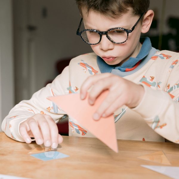 Mon kit Montessori Dinosaure – Image 6