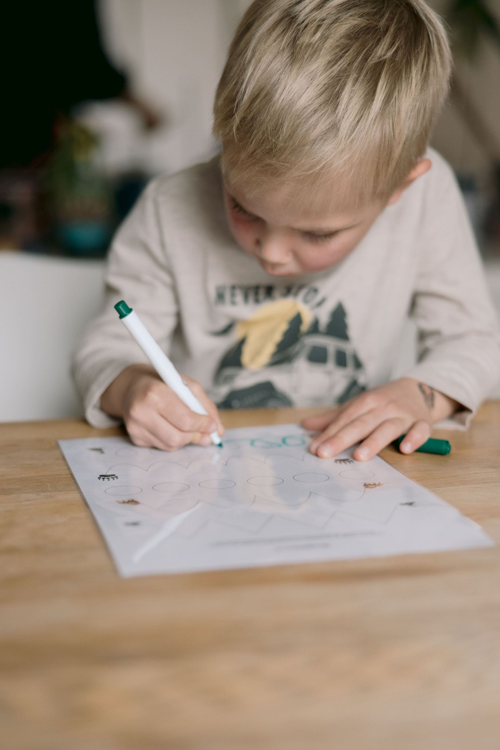 Montessori aire du langage