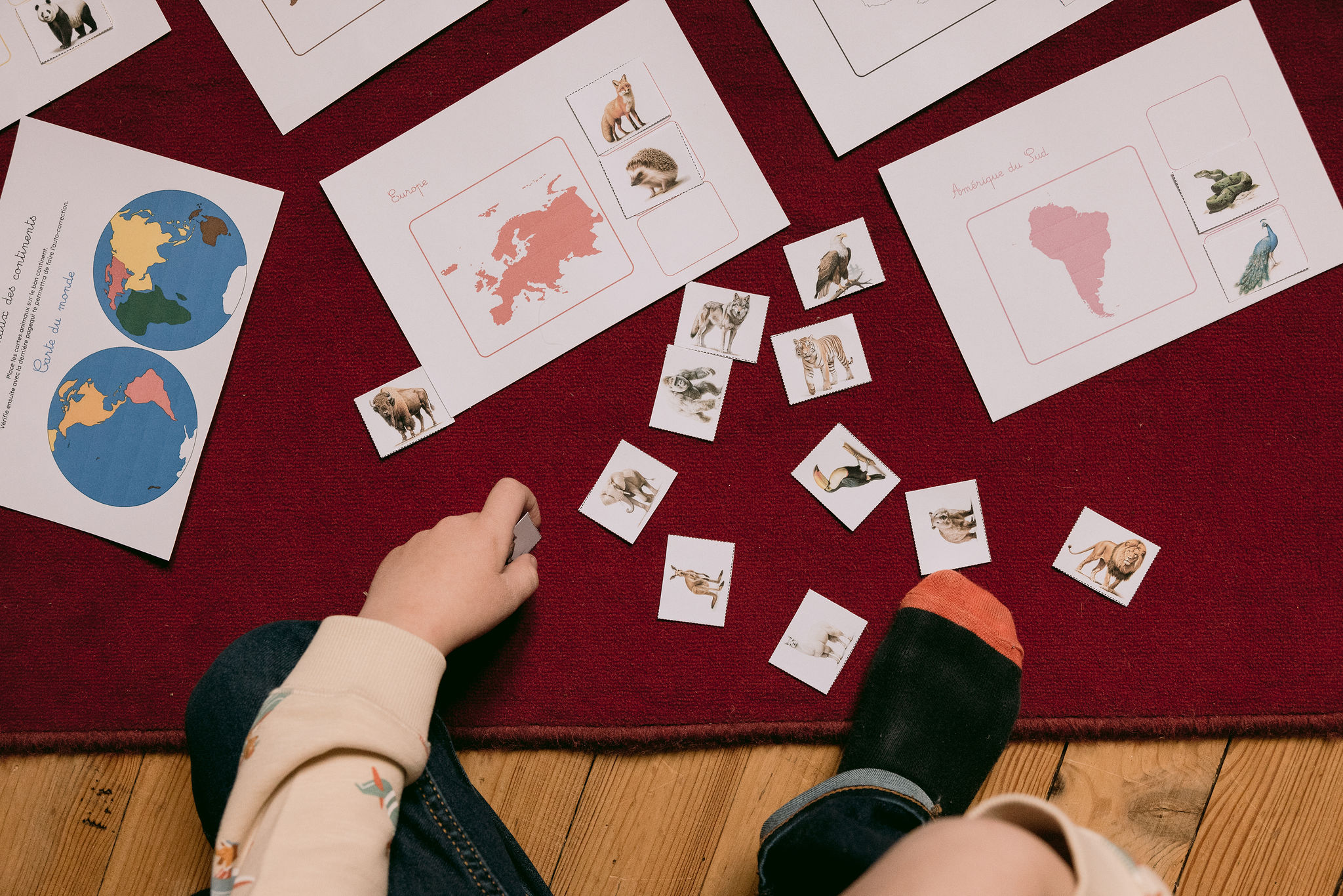 activité montessori bébé 1 an