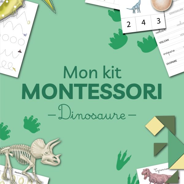 activite montessori pour enfants theme dinosaure