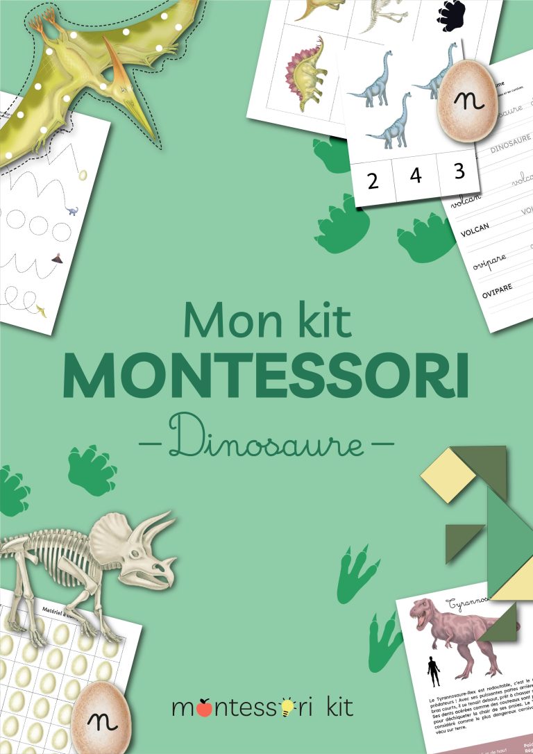 Mon kit Montessori Dinosaure