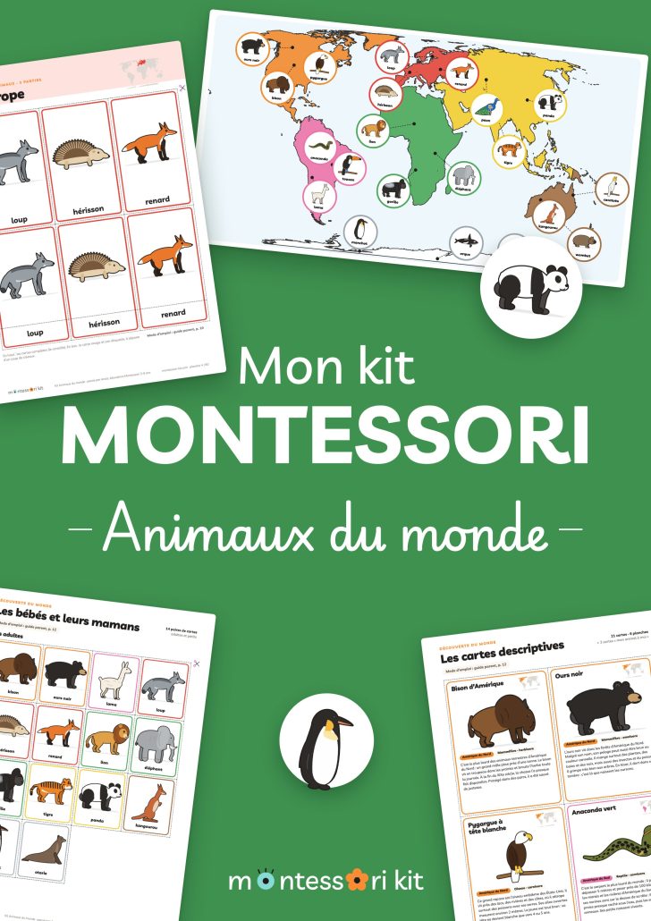 Kit Montessori Animaux du monde à imprimer : 21 animaux, 7 continents, bébés et mamans, pour les 3 à 7 ans