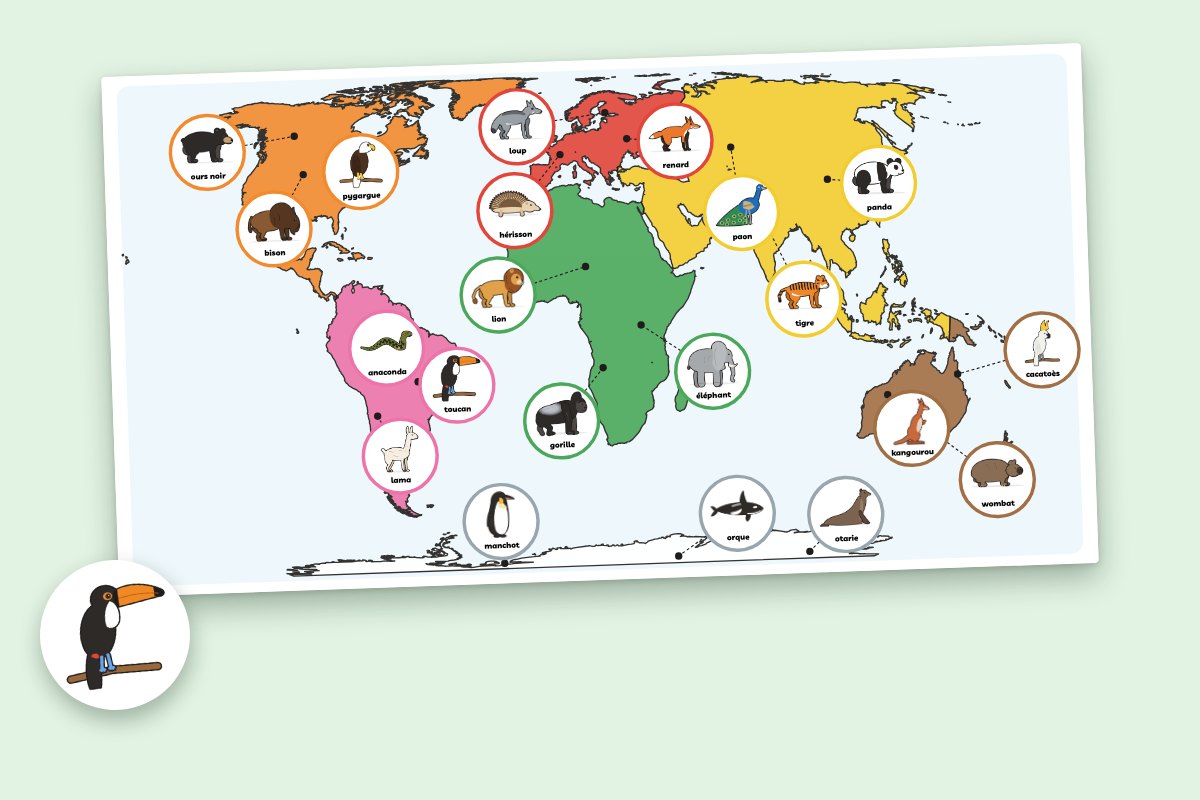 Le poster des continents « Qui vit où ? » avec les 21 animaux du kit