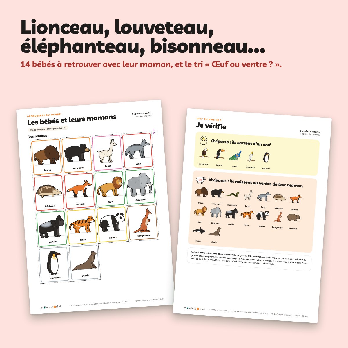 Les cartes bébés et mamans : lionceau, louveteau, éléphanteau, bisonneau