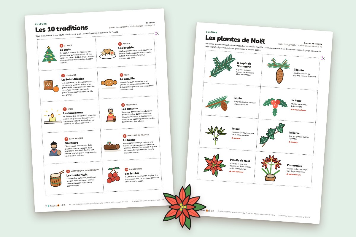 Les traditions de Noël et les plantes de Noël, avec la fiche Sapin ou épicéa